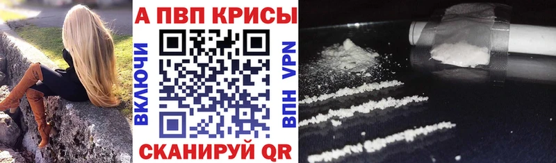APVP СК КРИС  Гдов 